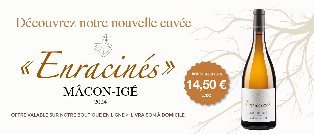 bandeau fb ENRACINES 20262