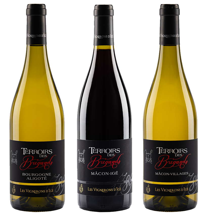 vigneronige_visuterroirsdesbrigands